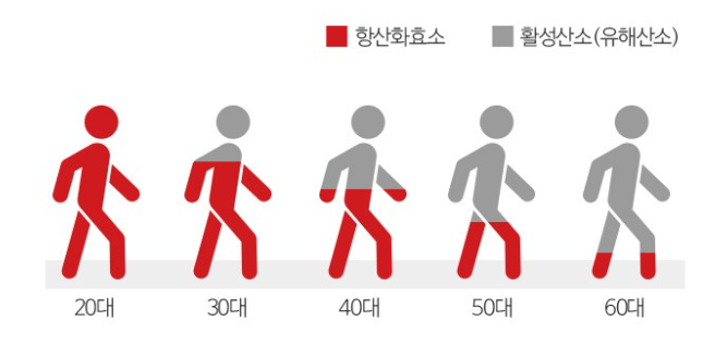 활성산소란? 수치 검사부터 제거 음식·영양소·운동까지 정리 1 활성산소 제거 검사방법