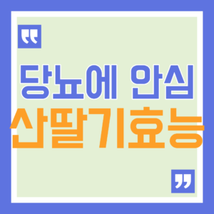 산딸기 효능과 부작용, 당뇨·신장 건강에 좋을까? 씻는법까지 10 산딸기 효능 부작용