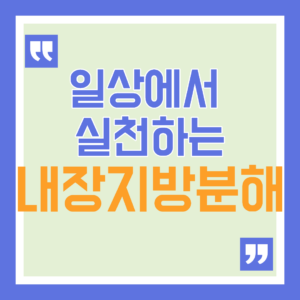 내장지방 분해하는 법, 약·주사·영양제부터 음식·운동까지 비교 10 내장지방 분해, 약·주사·영양제부터 음식·운동까지 비교